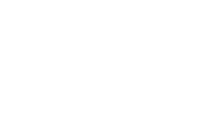 急速媒介